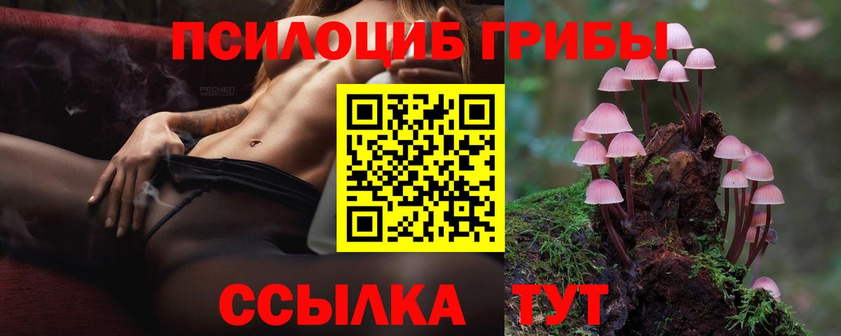 Канаш  Галлюциногенные грибы Psilocybe  Вход с VPN 